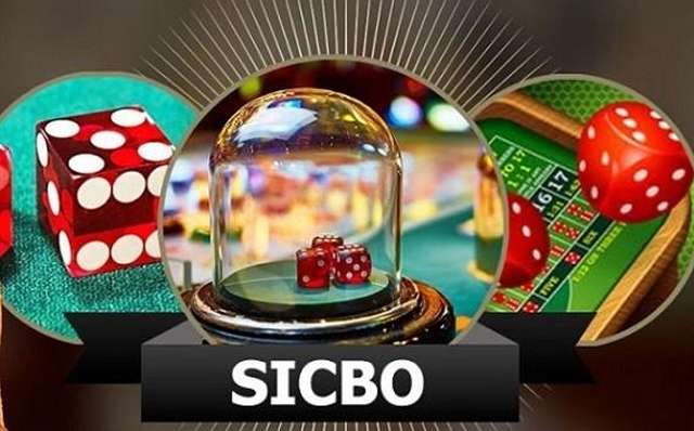 Sicbo online ngày càng thu hút nhiều người chơi